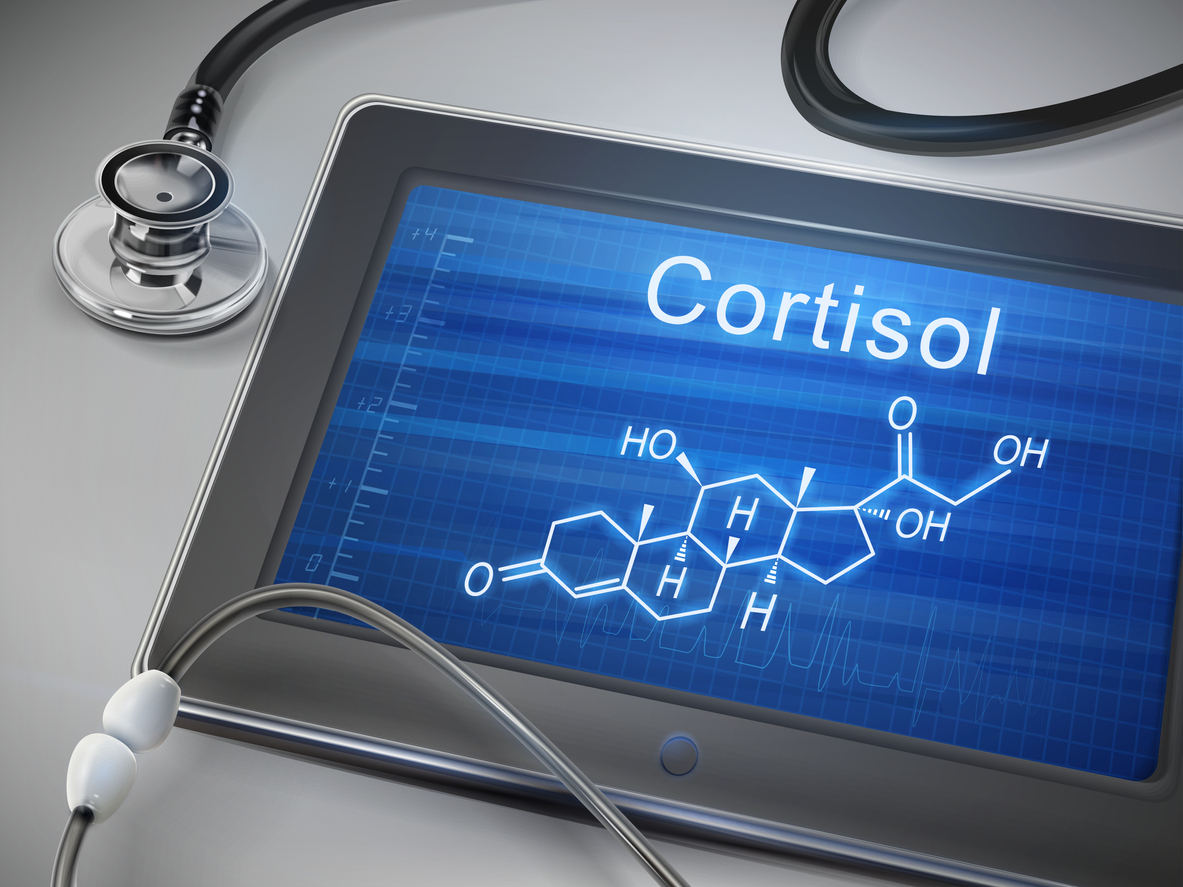 cortisol